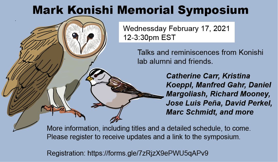 Wolfgang Stein tweet media