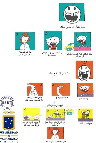 afraahaj's tweet photo. يمكنك المحافظة على معظم اسنانك الدائمه اذا كنت تعلم ماذا تفعل بعد التعرض لحادث
#saveyourtooth
#ساعة_صحه
#أنقذ_سنك https://t.co/WANpI70NNr
