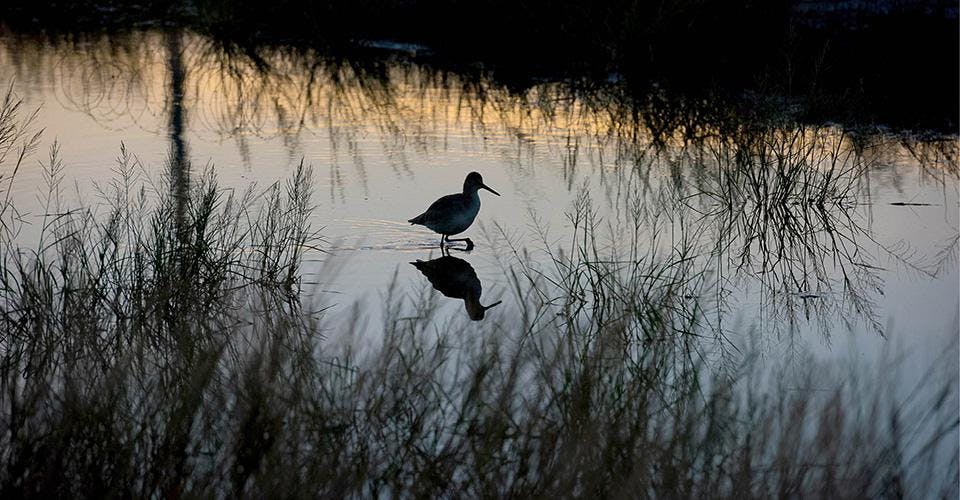 Kristin Marshall tweet media