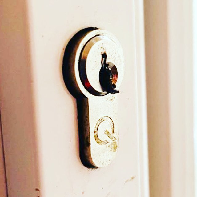 hamesandsons's tweet photo. Hames and Sons Locksmiths assisting another customer, who’s key had snapped in their lock. 
https://t.co/sinx16N4VO

#hamesandsonslocksmiths #locksmiths #locksmith #locksmithlife #locksmithservice #snappedkey https://t.co/SE4HvQwcIk