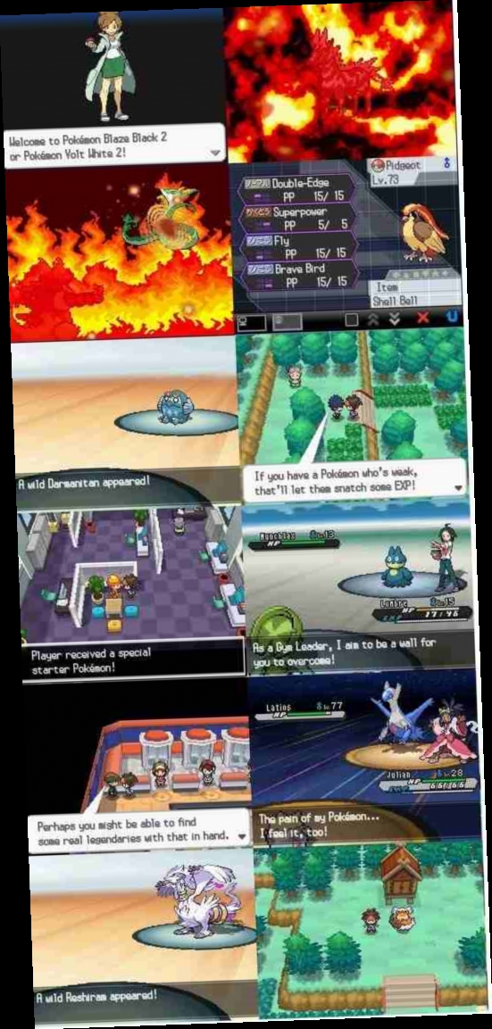 black 2 / white 2] Pokémon Blaze Black 2 & Pokémon Volt White 2