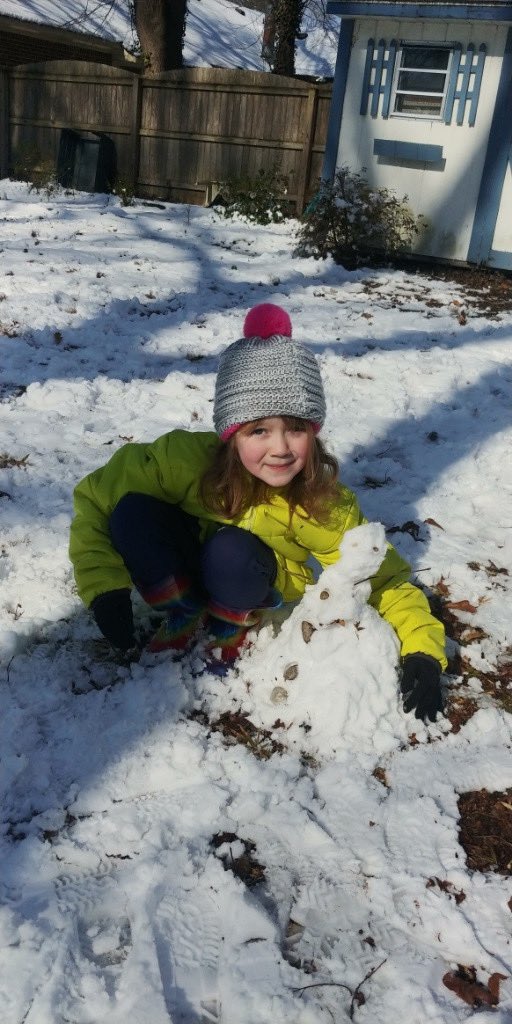 MerulloAmanda's tweet photo. Virtual snow day for the win! #STEM @VBFairfieldES https://t.co/GkqDSs87MA