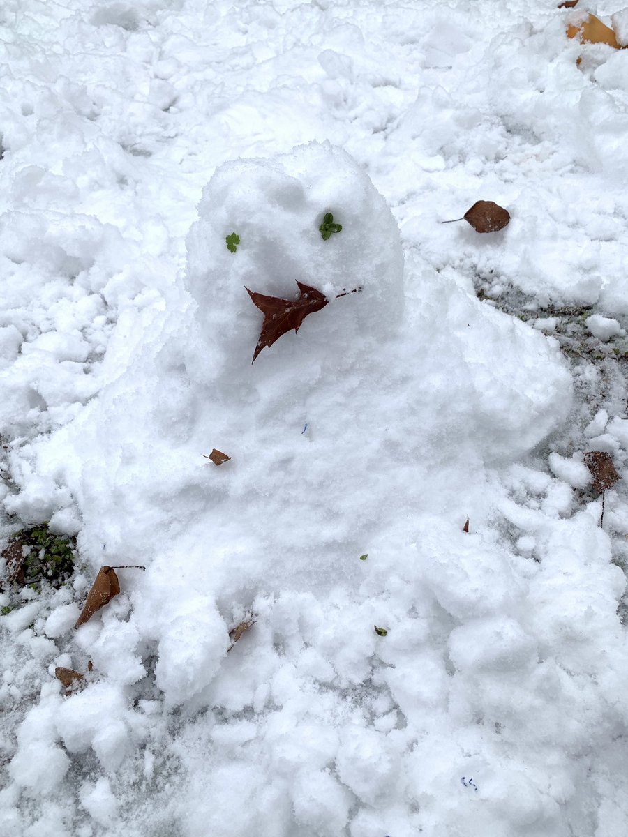 MerulloAmanda's tweet photo. Virtual snow day for the win! #STEM @VBFairfieldES https://t.co/GkqDSs87MA