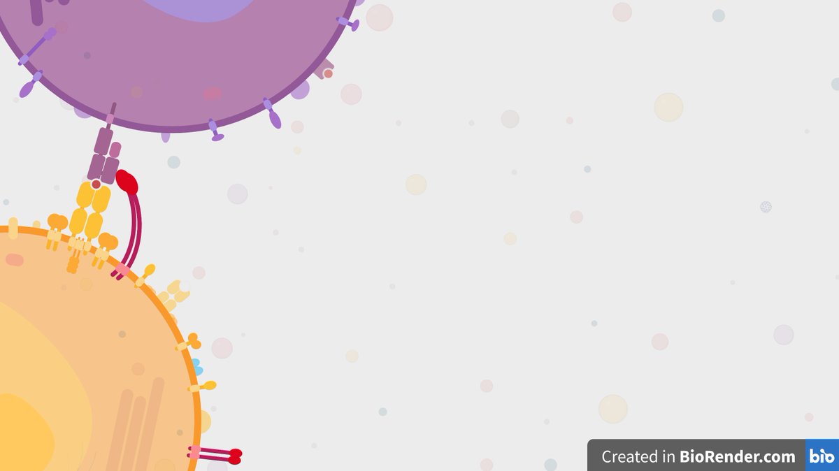 eraimondeau's tweet photo. I tested @BioRender for the first time for the #BiorenderBackground contest and I am well impressed! Will def recommend it to people who wants to make figures but can't/don't want to learn illustrator! ๐๐ https://t.co/0o8jweXEau