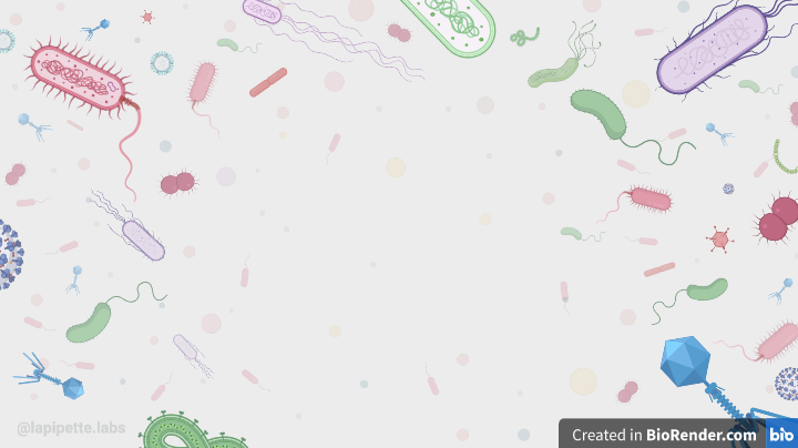 eraimondeau's tweet photo. I tested @BioRender for the first time for the #BiorenderBackground contest and I am well impressed! Will def recommend it to people who wants to make figures but can't/don't want to learn illustrator! ๐๐ https://t.co/0o8jweXEau