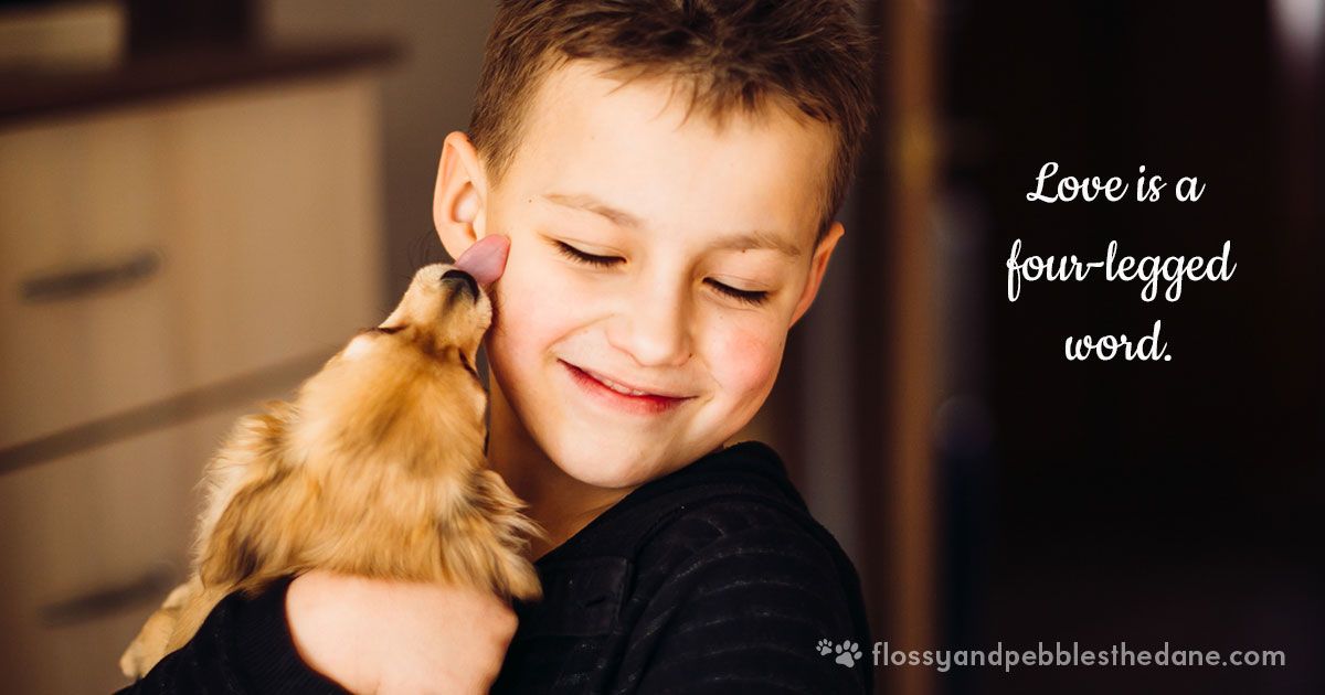 flossypebbles's tweet photo. Love is a four-legged word. ❤️🐾
#animallove #animallover #animallovers #doglove #doglover #doglovers https://t.co/PpeCeSRIYB