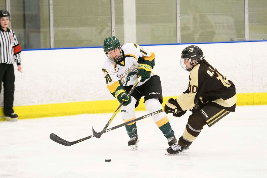 thebrandonsun's tweet photo. Shaelyn Vallotton can’t imagine a life without hockey. https://t.co/Av1emaxFcN #bdnmb https://t.co/Y9yc4wbPFG