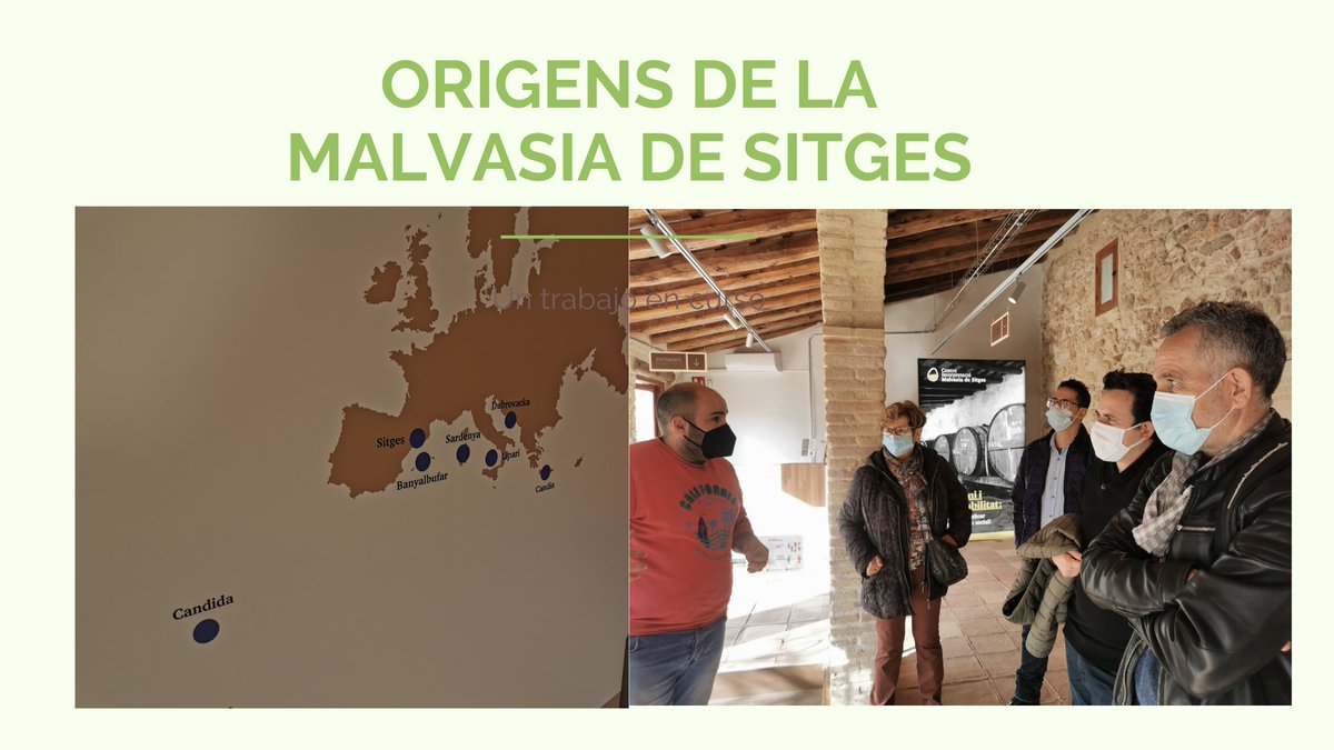 MN_rest's tweet photo. Anem de visita!
https://t.co/Hre7MaFx8n
@MalvasiaSitges
#vinsdelgarraf #malvasiadesitges #nodegarraf #vinsdesitges #somhosteleria https://t.co/mqrKNwftcJ