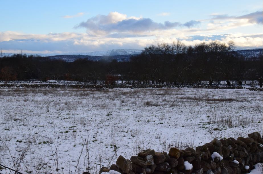 Rural Cebollera, Urbión y Cameros tweet media