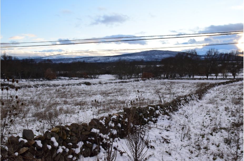 Rural Cebollera, Urbión y Cameros tweet media