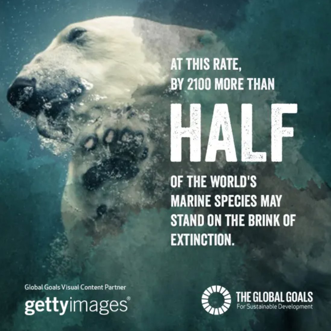 At this rate, by 2100 more than half of the world's marine species may stand on the brink of extinction. 🌊💧🐟

Help achieve #SDG14: Life Below Water by not "using plastic bags: usage and wrong disposal of plastic is a major cause of marine pollution." via  <a href="/TheGlobalGoals/">The Global Goals</a>