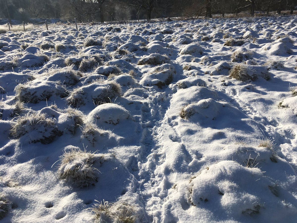 paullkear's tweet photo. #WinterWatchlist https://t.co/MNpqatPakP