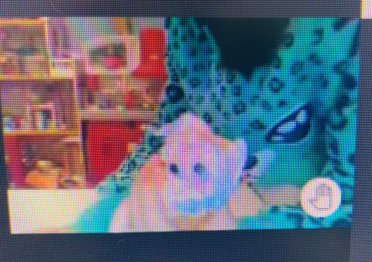 Mrs. Jamieson 🌈 tweet media