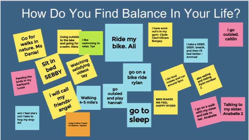 Alison Daniel tweet media