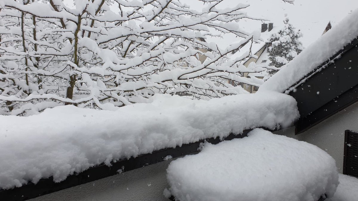 studio13rt's tweet photo. Halten wir fest. #2021 hatten wir wirklich einen #Winter. #photos #landscape #snow #pics #pictures #trees #jahreszeiten #fotografie https://t.co/iPKyDNIPCl