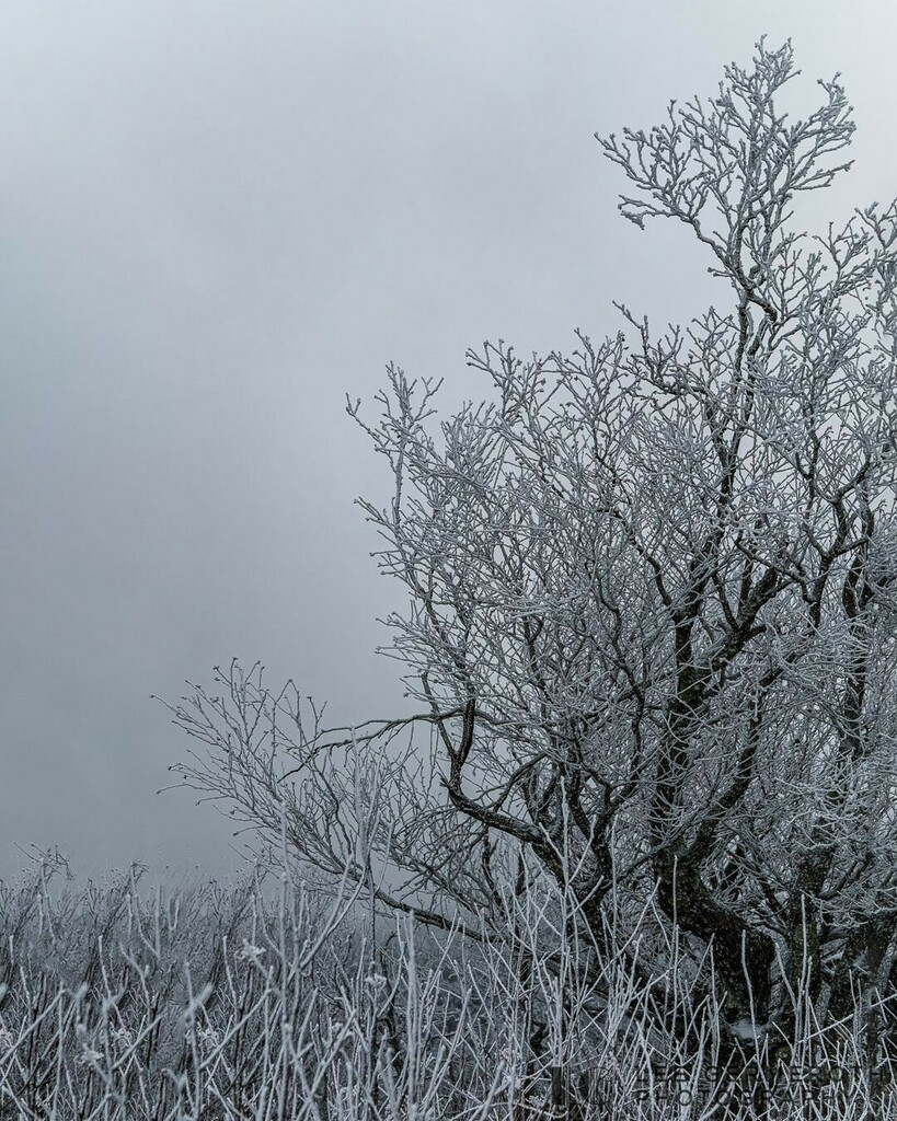 LeeGPhoto's tweet photo. Colors of Winter.⠀
2 of 3.⠀

#igersnh #hikingtrails #hike #winterhiking #hikenh #iceicebaby #cold #ignewengland #newengland #newhampshire #landscapephotography #mountains #desaturated #scenesofnh #scenesofnewengland #nh #nhviews #hikingadventures #min… https://t.co/8boVkCR9dj https://t.co/fBep6w2N5n