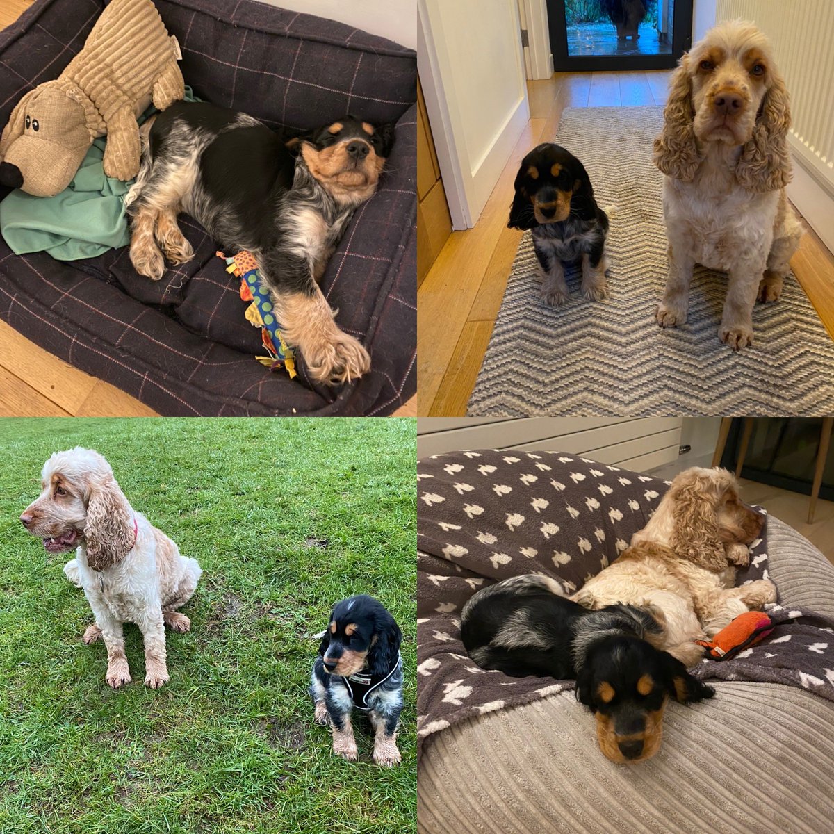 Martin Crook tweet media