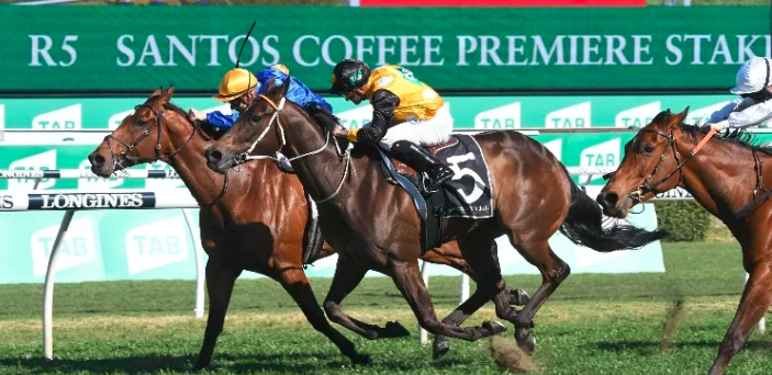 winningedgebets's tweet image. Tomorrow's @rosehillgardens card is highlighted by the Expressway Stakes &amp;amp; we're giving you the chance to score a free monthly subscription to a #WinningEdge service of your choice if you can tip the trifecta (any order).

Simply like &amp;amp; RT this post + comment with your tips.