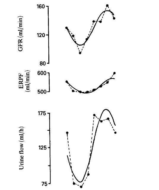 En fait toutes les fonctions rénales suivent un rythme circadien en même temps que le débit urinaire : le débit sanguin rénal, le débit de filtration glomérulaire... https://pubmed.ncbi.nlm.nih.gov/2667855/&nbsp;