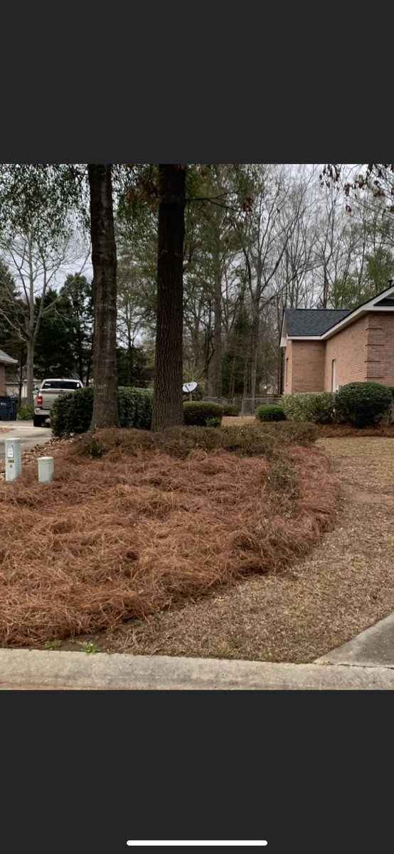 LawnCraig's tweet photo. Does your yard need a makeover? Call Craig Lawn Service and we can make that happen! We do hedges, lawns, weed eating, crepe myrtle pruning, pine straw, gutter cleaning, and more!!! Call us for a free estimate! Thomas Craig 478-302-3192. https://t.co/kOw9Dva4W3