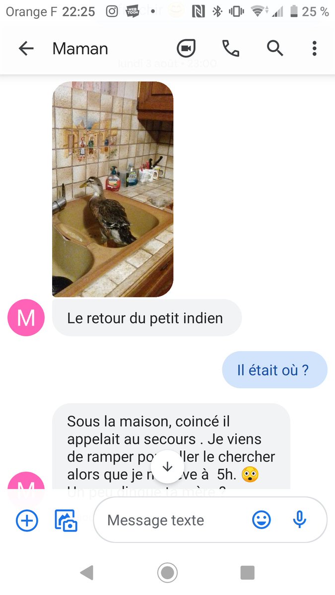 Après première fois qu'il est rentré dans la maison c'est à cause de ma mère, on pensait qu'il était parti (ou mort) parce qu'on le voyait plus depuis plusieurs jours, j'étais en vacances à ce moment là elle m'envoie ça à minuit mdr