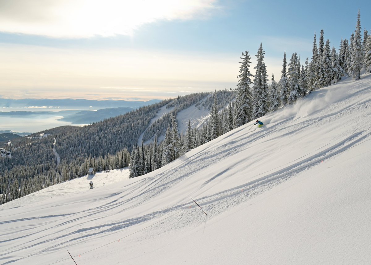 SchweitzerID tweet picture