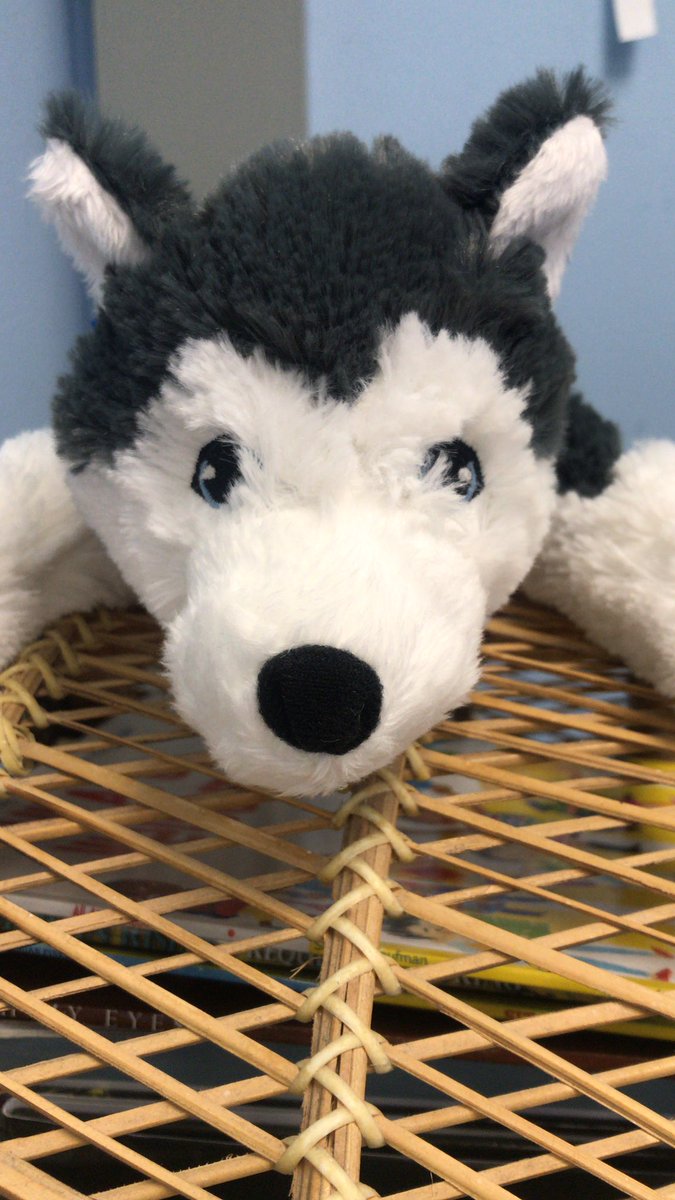 Proud to be part of the husky pack!!! #roosevelt2021 #onlywb #c2cinWB