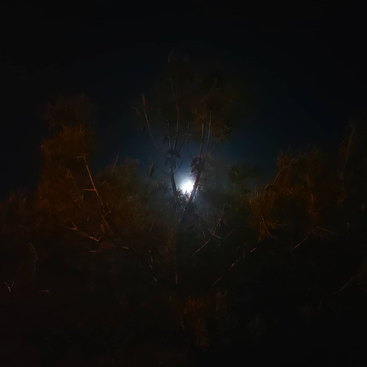 eireodin's tweet photo. Gabon eta ondo lo egin denori!!😴😴😘😘
#LunaLlena #Alcant
Que todos vuestros sueños se hagan realidad!! https://t.co/DkFtbGeoru