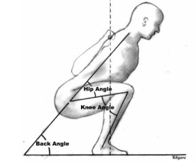The Low-Bar Squat:The low bar squat allows you to lift the most weightThe bar is placed on the posterior deltoidsThe angles and leverages allow the lifter to use greater hamstring, hip, and back strength to lift the weight=Stronger hips, Hamstrings, and Erectors.
