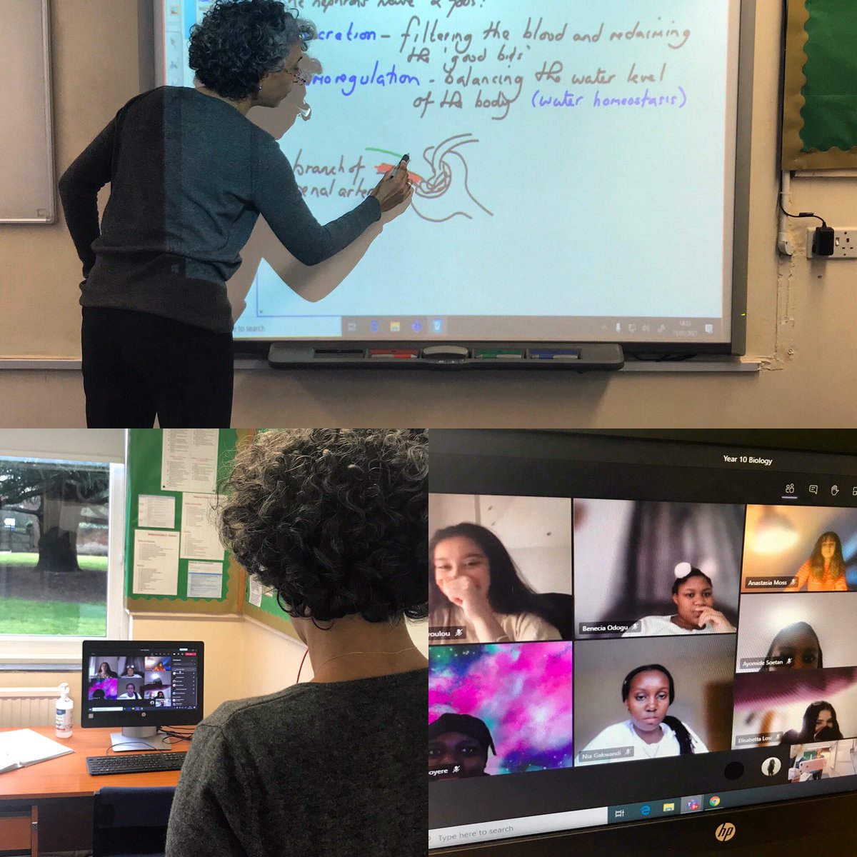 MountHouseSch's tweet image. Year 10 Biology in action learning all about the functions of the kidneys. Miss Sidhu is using the white board which is shown live on students screens and includes a quick quiz at the start of the lesson #biologystudent #virtuallearning 🗣🖥