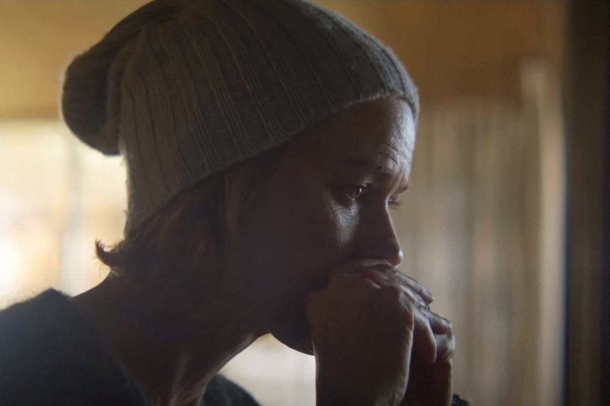 'Penguin Bloom' review Predictable Naomi Watts drama is for the birds