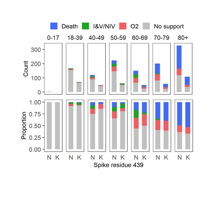4/7 439K was associated with higher viral loads. Ruth Jarrett  @CVRinfo set up RT-PCR testing using RNA standards to quantify this. Our clinical fellow team including  @JG_Shepherd  @ngjesudason  @DrLi_Virology  @Rajiv_334 showed that clinical outcomes were similar.
