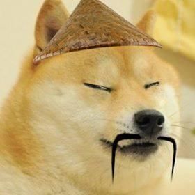 ianmiles's tweet photo. Me when I see Dogecoin rising exponentially. https://t.co/oEYrSCmJEN