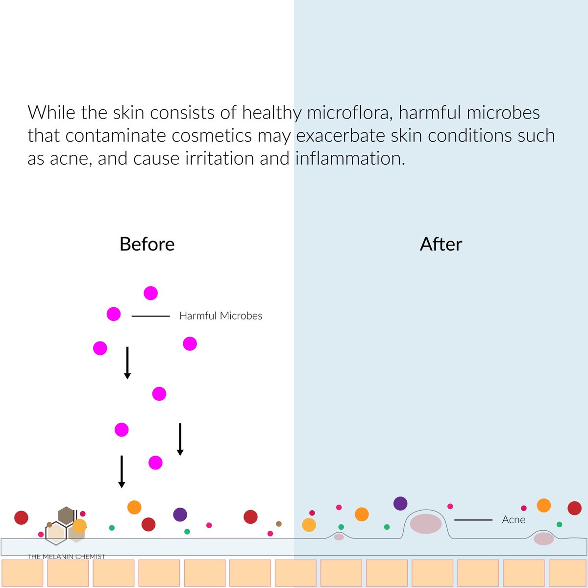 How can microorganisms affect your cosmetics and your skin? Remember that your skin has a microbiome which is essentially your skin’s first line of defense against microbes (bad ones) and if that is invaded, it can exacerbate skin concerns such as acne, cause inflammation etc.
