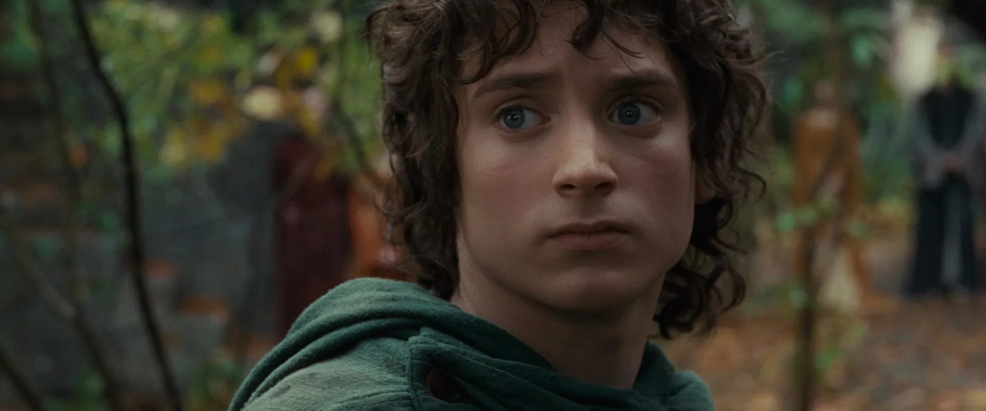 Happy birthday to elijah wood, the best frodo we could ever ask for 