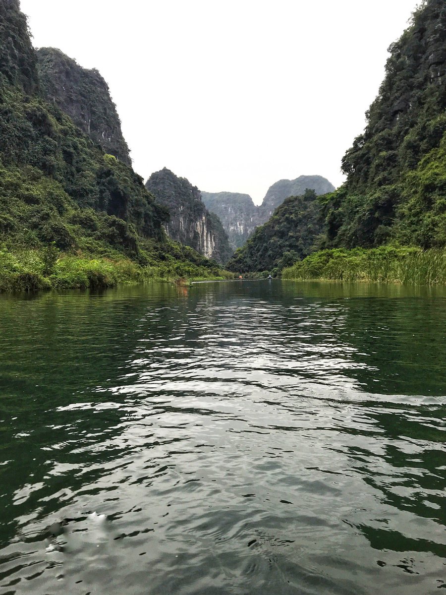 yasspac's tweet photo. I had a pleasant journey in an Trang in ninh binh, highly recommend it.
๐ and retweet please ๐
#Travel #viajar #photography #pictures #ninhbinh #Vietnam #antrang #blog #RetweeetPlease #trip #adventuretime #asia #tourism https://t.co/ba1Qw1xdNu