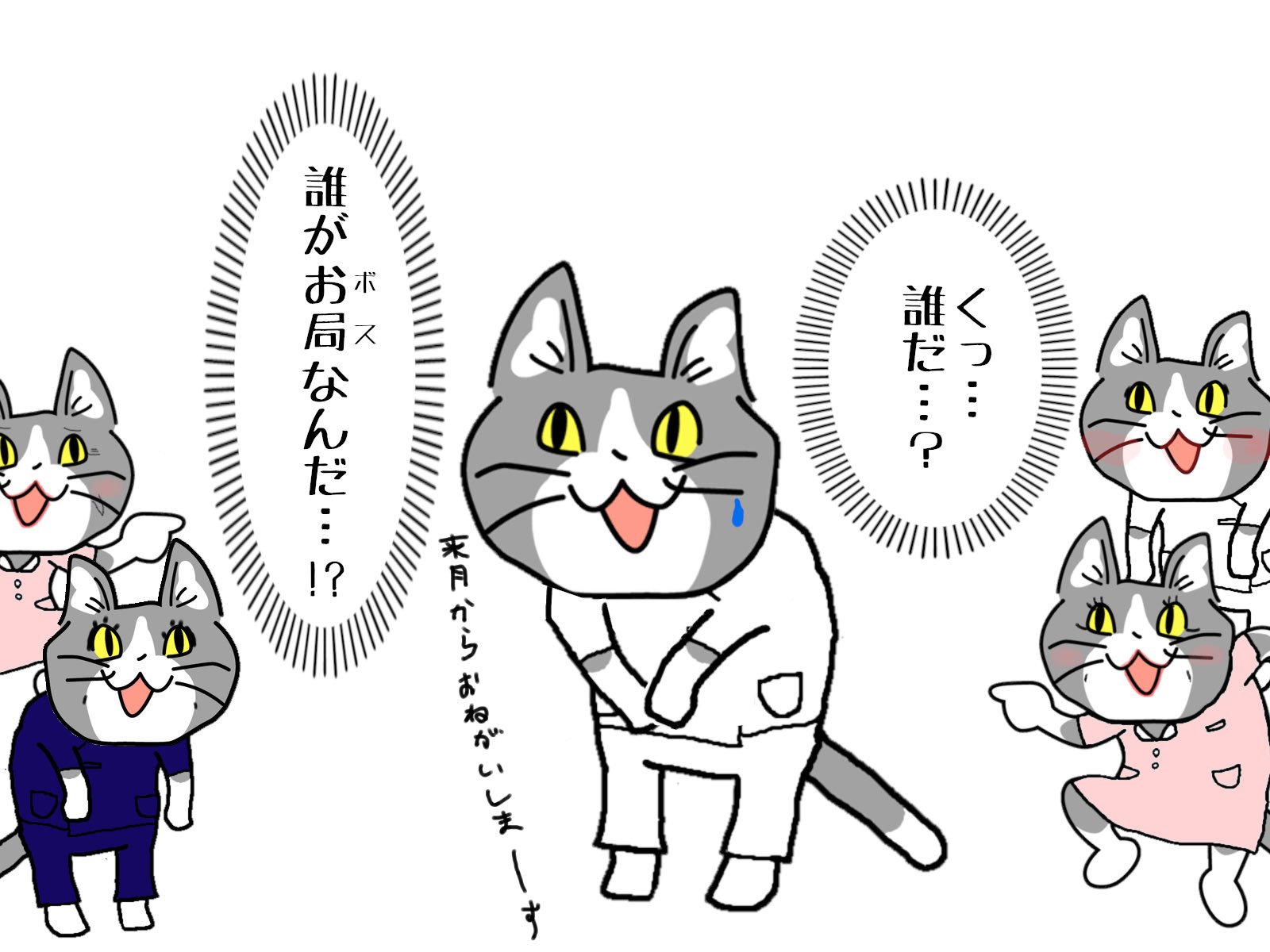 病院猫 on X: 