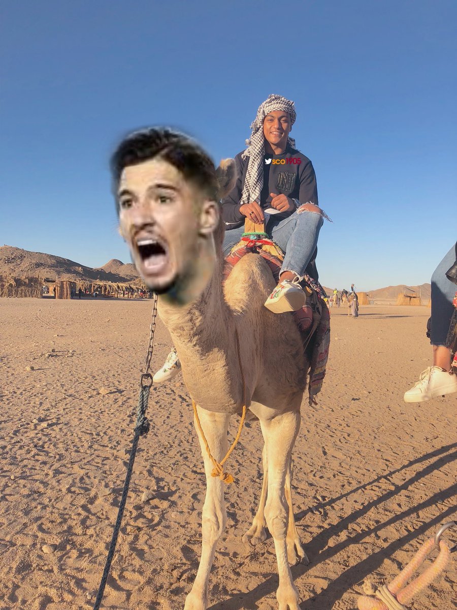 ⌛⌛⌛⌛⌛ #MısırdaDeveyeKadıköydeFenere