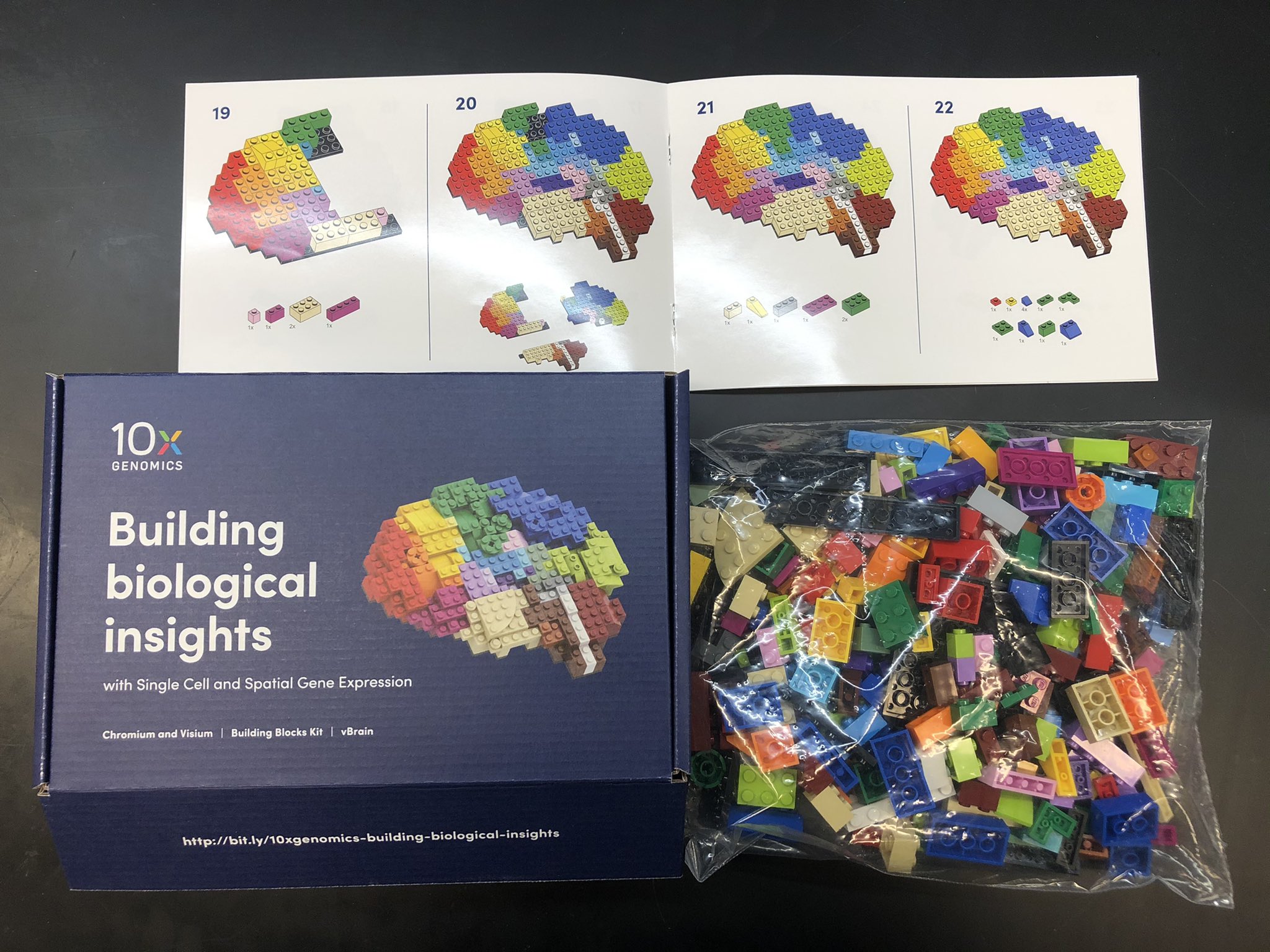 Bo Xia on Twitter: "Just received the new year from @10xGenomics. Thanks so It's amazing that they made my Lego brain (aka lego transcriptomics concept) into a gift box