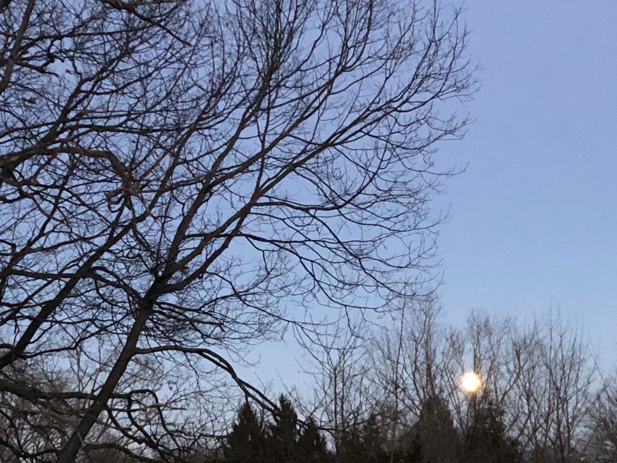 coachpam2's tweet photo. #WolfMoon #FullWolfMoon #IceMoon #CenterMoon #JanuaryFullMoon #moonphase #moonmagic https://t.co/tb2hIbPjPP