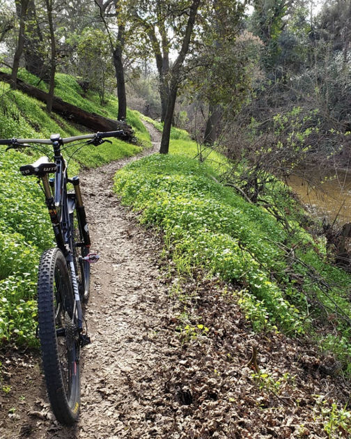 Visit Modesto tweet media