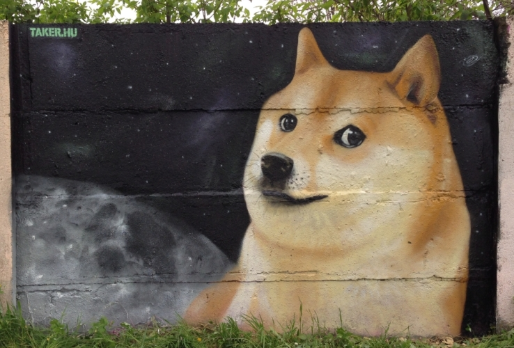 takergraffiti's tweet image. #dogecoin #tothemoon #shibe #kabosu #wow #doge $doge