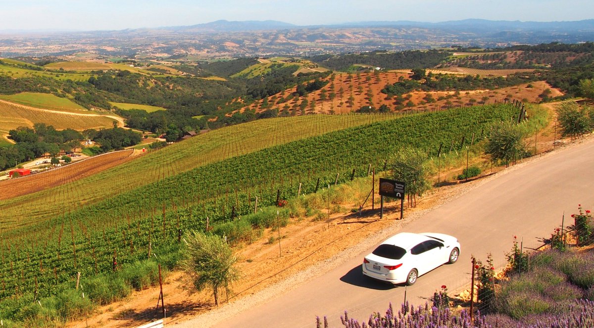 DestinationDRVR's tweet image. #Winecountry is OPEN and we are offering tours. #PasoRobles #SantaYnez #SantaBarbara and beyond. Book Destination Drivers 🍷🍷🍷🍷🍷