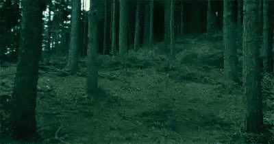 ClaudiaCabeza3's tweet photo. Los chicos listos para aparecerse (como en harry potter) en la casa de las chicas para pegar al lobo   #LaIslaDeLasTentaciones2 https://t.co/3B5oWrngT5