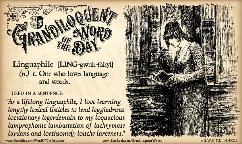 Trumptionary17's tweet image. Post Trump Word of the Day - Jan 28, 2021 @Montejp231 @AngrierWHStaff 
@suesupports @mmpadellan 
@rosie @olgaNYC1211 @grantstern 
@funder @AmandiOnAir @tedlieu 
@TeaPainUSA @malcolmnance @joyannreid 
@ProjectLincoln
#ExpelTheSeditionists 
#TrumpIsGuilty