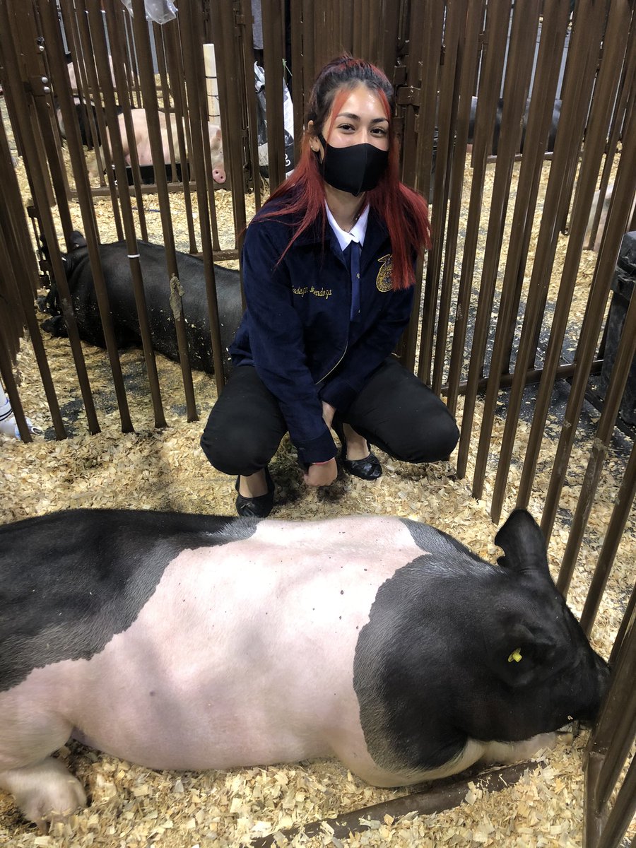NimitzFFA's tweet photo. Congratulations @alexmratinez for advancing to the @AldineISD Sale of Champions.
We are so proud of all of our Pig competitors today. Way to goooo
#EvolveThrough2020 #AldineAnywhere #4QTRSTRONG @NimitzHS_AISD @AldineCTE https://t.co/0EjUO9oHMi