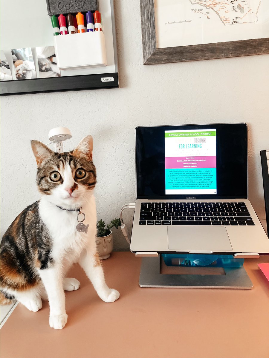 MsDeClercq's tweet photo. Excited to see a session on Universal Design for Learning for our pro growth day tomorrow @PowayUnified #PUSDProGrow! UDL is something every teacher should know about and get behind 🙌🏻 Ready to learn even more about it (and so is Rey 😻😝) https://t.co/CPy6VIWYES