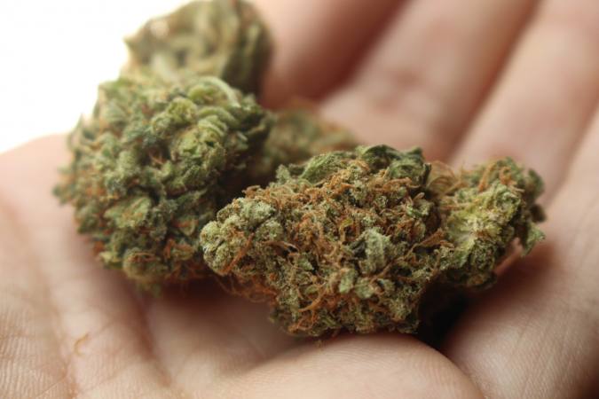 eluniversocom's tweet photo. La marihuana reduce riesgo de contagiarte de COVID-19, según estudio. ► https://t.co/564esJD909 https://t.co/cOseR8LwNQ