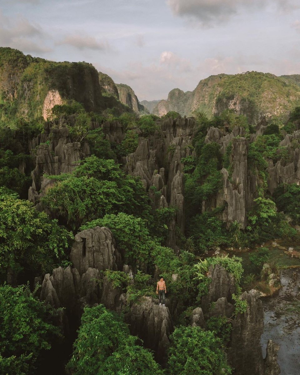 indowild's tweet photo. At first sight it looks like the Halong Bay, Vietnam but this is Sulawesi. It's absolutly worth coming here because it's a unique landscape.⁠ Photo by @harivalzayuka⁠
⁠ https://t.co/bm5pM3nQpP