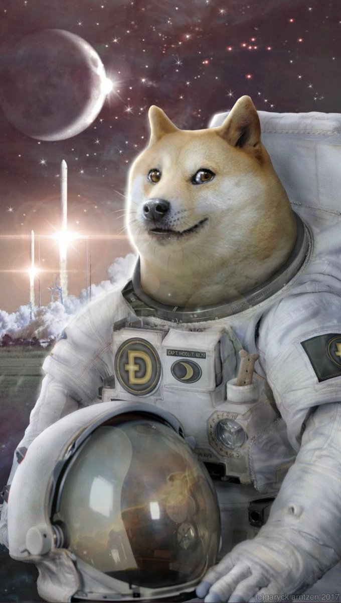 KrisWilt's tweet image. The hero we never knew we needed! #dogecoin